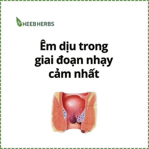 [COMBO 3 CHAI] Dung dịch Vết thương Hedar