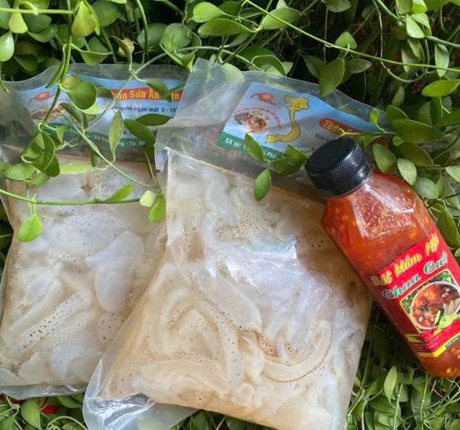 sứa