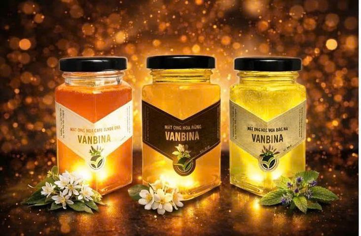 Combo 3 Chai Mật Ong Nguyên Chất Vanbina 250gr - Mật Ong Rừng, Hoa Biển, Hoa Cà Phê - Quà Tặng Thiên Nhiên Từ Việt Nam