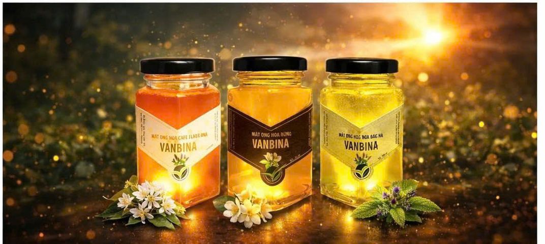 Combo 3 Chai Mật Ong Nguyên Chất Vanbina 250gr - Mật Ong Rừng, Hoa Biển, Hoa Cà Phê - Quà Tặng Thiên Nhiên Từ Việt Nam