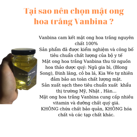 Mật Ong Hoa Trắng Vanbina 250gr Nguyên Chất Xuất Khẩu - Mật Ong Đặc Sản Mù Cang Chải 