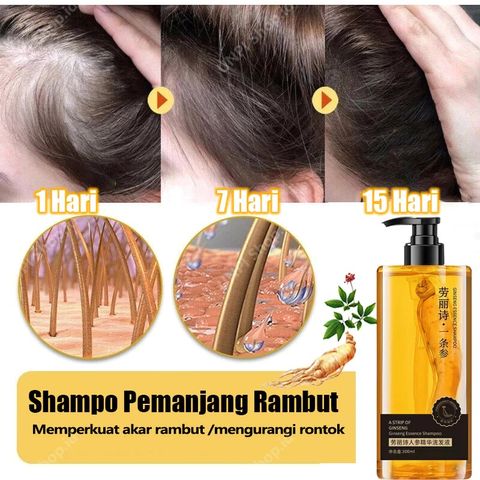 Dầu gội NHÂN SÂM tươi mọc tóc dầu gội chống rụng tóc300ml giảm rụng tóc Mọc Tóc Nhanh kiểm soát Làm mới và kiểm soát dầu