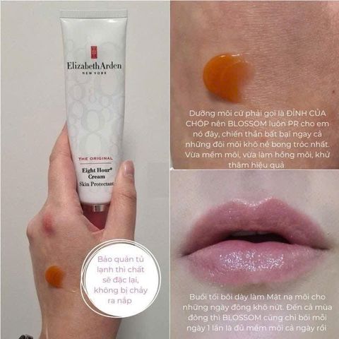 Son Dưỡng Môi Elizabeth Arden Eight Hour Cream 50g - Hương Nhẹ, Dưỡng ẩm Chuyên Sâu, Sản Phẩm Làm Đẹp Nổi Bật
