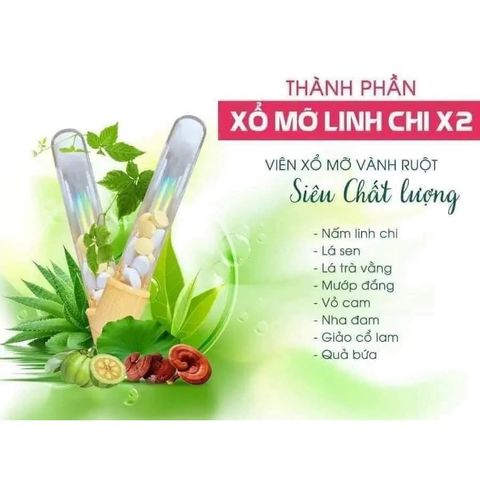 Xổ Mỡ Vàng Ruột Linh Chi Đỏ, Hỗ Trợ Giảm Cân Giảm Mỡ Bụng Hiệu Quả, 1 Hộp 10 Viên