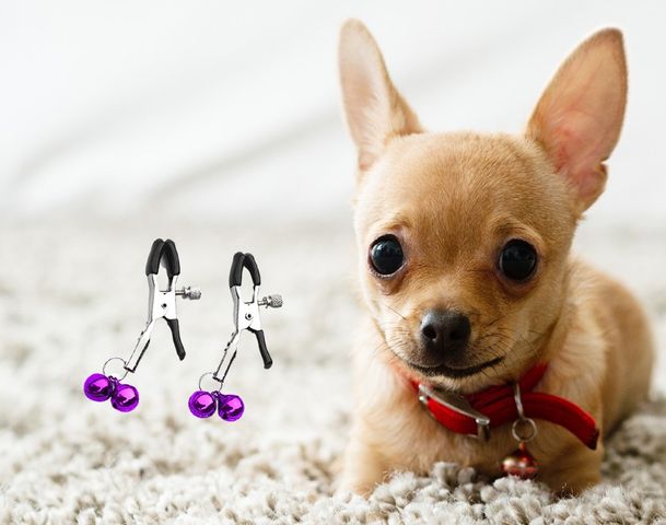 Combo 2 chiếc kẹp chuông lục lạc thú cưng có thể điều chỉnh được lực kẹp