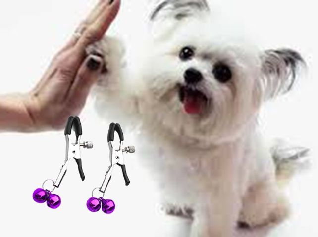 Combo 2 chiếc kẹp chuông lục lạc thú cưng có thể điều chỉnh được lực kẹp