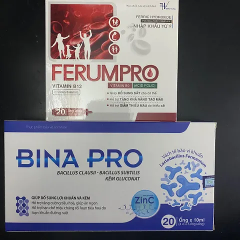 (Chính hãng) Combo bổ sung sắt & Men vi sinh [ 1H TPBVSK Bina Pro + 1H TPBVSK Ferum Pro] - 2Hx20ống