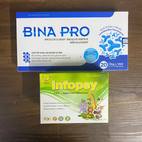 (Chính hãng) Combo Hỗ Trợ Nhuận Tràng + Bổ Sung Lợi Khuẩn [TPBVSK Binapro + TPBVSK Infosy] - 2 hộp
