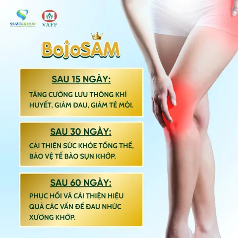 Viên Uống Xương Khớp BOJOSAM - Hỗ Trợ Xương Khớp Chắc Khoẻ Từ Sâm [Lọ 60 Viên]