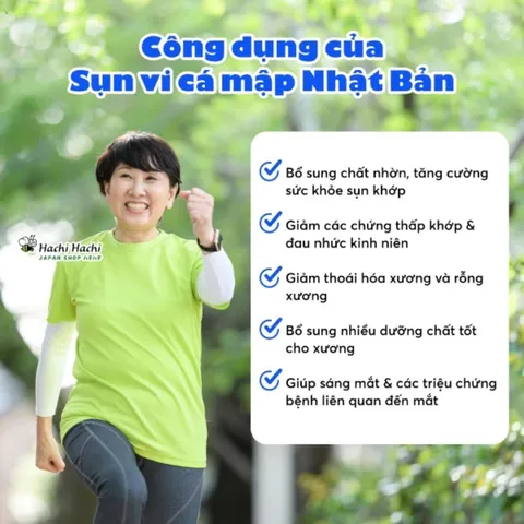 Viên uống Shark Cartilage Extract 520 viên, từ sụn caá mậpp, hỗ trợ tăng sức khỏe sụn khớp