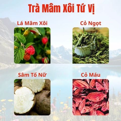 Trà Mâm Xôi Mộc Tâm Thanh Nhiệt Bổ Huyết Cải Thiện Nội Tiết 20góix4gr.