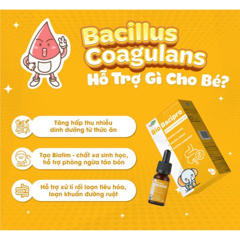 Men Vi Sinh Bio Bacipro Giúp Bổ Sung Lợi Khuẩn Tăng Cường Hệ Tiêu Hóa Cho Bé, Giảm Rối Loạn Tiêu Hoá, Nôn Trớ - Lọ 10ml