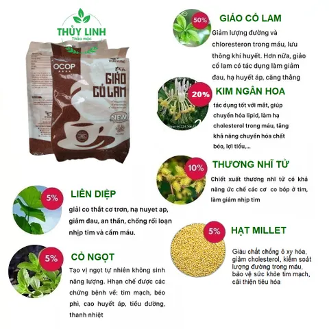 Trà Giảo cổ lam THÁI HƯNG - Bịch 100 túi lọc 5g Giảm cân, hạ mỡ máu, đường huyết, ổn định mạch