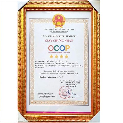 Trà Cà Gai Leo THÁI HƯNG Hạ men gan, mỡ gan, xóa mụn nhọt mẩn ngứa - Bịch 100 túi lọc 5g