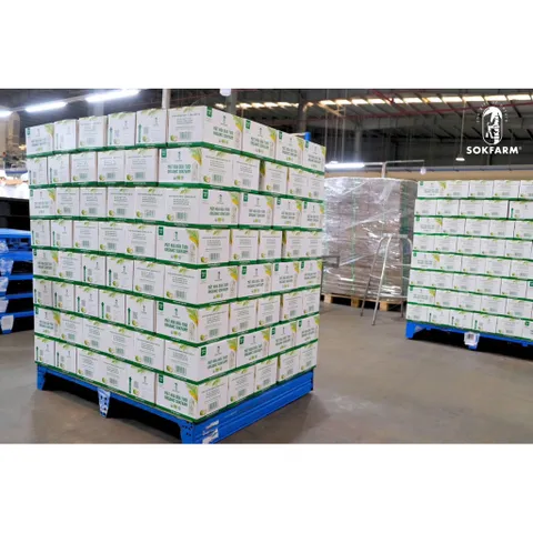 Mật hoa dừa Sokfarm tiệt trùng 330ml - mật hoa dừa tươi organic