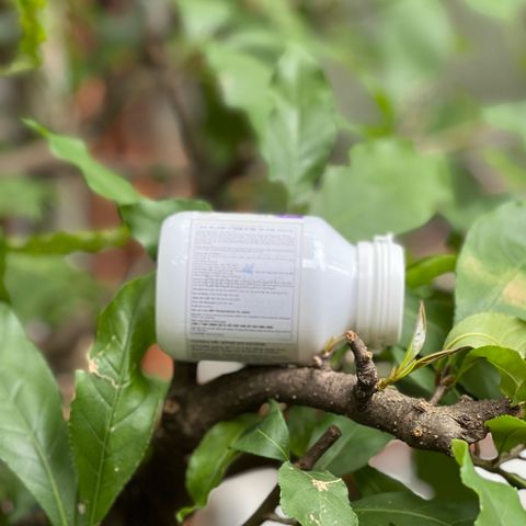 [Nhập khẩu chính ngạch] Viên hỗ trợ tăng chiều cao cho bé Lysine viên Bio Island Lysine 60 viên hàng Úc