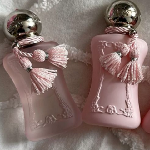 Nước Hoa Nữ Parfums De Marly Delina EDP 75ml 630880