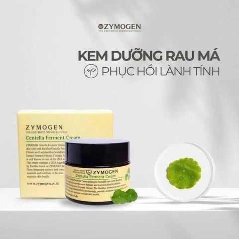 Zymogen Bộ đôi rau má phục hồi da lành tính- kết hợp giữa serum và kem dưỡng