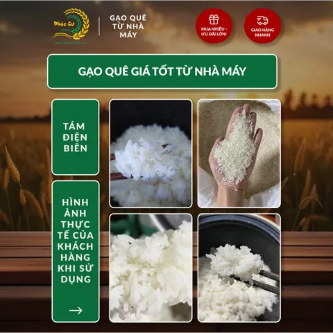Gạo Phúc Cư | 5KG Gạo Quê Tám Điện Biên Vụ Mới Xát Mộc (LOẠI NGON) Hạt Dài Cơm Mềm Thơm Ngon