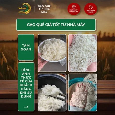 Gạo Phúc Cư | 20KG Gạo Quê Tám Xoan Vụ Mới Xát Mộc (LOẠI NGON) Hạt Dài Cơm Mềm Thơm Ngon