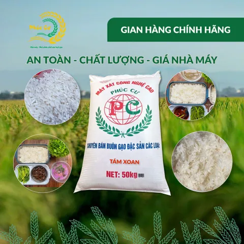 Gạo Phúc Cư | 50KG Gạo Quê Tám Xoan Vụ Mới Xát Mộc (LOẠI NGON) Hạt Dài Cơm Mềm Thơm Ngon