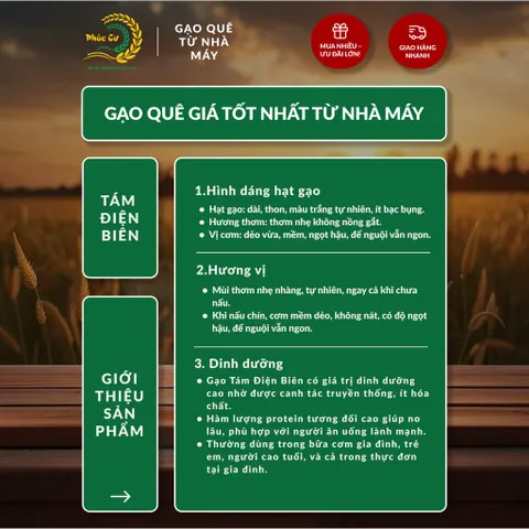 Gạo Phúc Cư | 5KG Gạo Quê Tám Điện Biên Vụ Mới Xát Mộc (LOẠI NGON) Hạt Dài Cơm Mềm Thơm Ngon