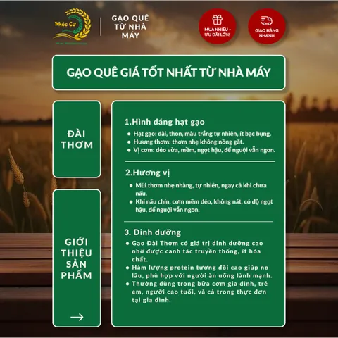 Gạo Phúc Cư | 40KG Gạo Quê Đài Thơm Vụ Mới Xát Mộc (LOẠI NGON) Hạt Dài Cơm Mềm Thơm Ngon