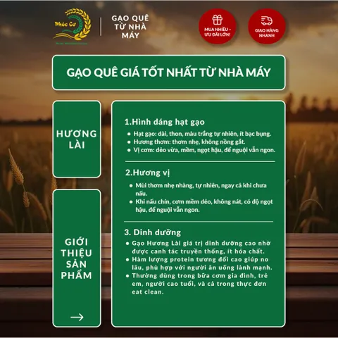 Gạo Phúc Cư | 20KG Gạo Quê Hương Lài Vụ Mới (LOẠI NGON) Hạt Dài Cơm Mềm Thơm Ngon