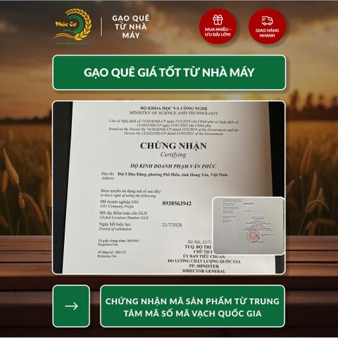 Gạo Phúc Cư | 30KG Gạo Quê Hương Lài Vụ Mới (LOẠI NGON) Hạt Dài Cơm Mềm Thơm Ngon