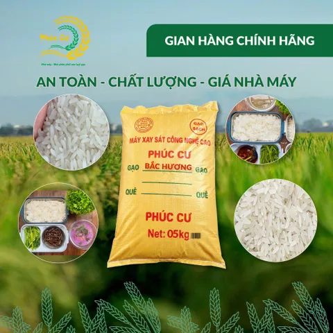 Gạo Phúc Cư | 5KG Gạo Bắc Hương Vụ Mới (LOẠI NGON) Hạt Dài Cơm Mềm Thơm Ngon