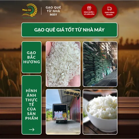 Gạo Phúc Cư | 5KG Gạo Bắc Hương Vụ Mới (LOẠI NGON) Hạt Dài Cơm Mềm Thơm Ngon