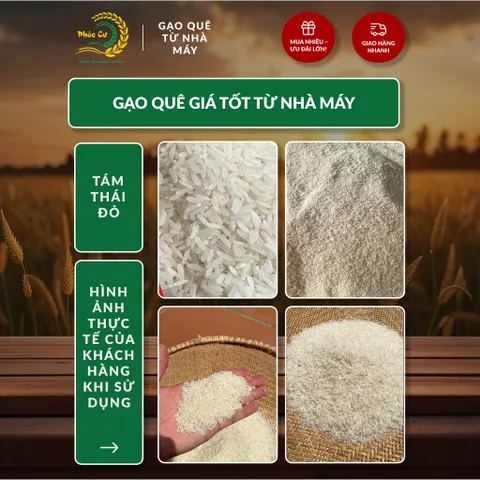 Gạo Phúc Cư | 10KG Gạo Quê Tám Thái Đỏ (LOẠI NGON) Hạt Dài Cơm Mềm Thơm Ngon