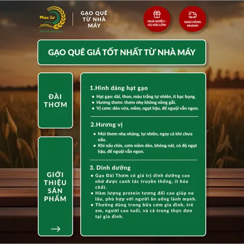 Gạo Phúc Cư | 50KG Gạo Quê Đài Thơm Vụ Mới Xát Mộc (LOẠI NGON) Hạt Dài Cơm Mềm Thơm Ngon