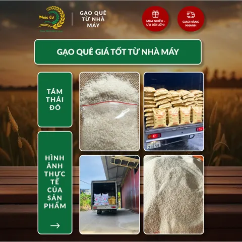Gạo Phúc Cư | 50KG Gạo Quê Tám Thái Đỏ (LOẠI NGON) Hạt Dài Cơm Mềm Thơm Ngon