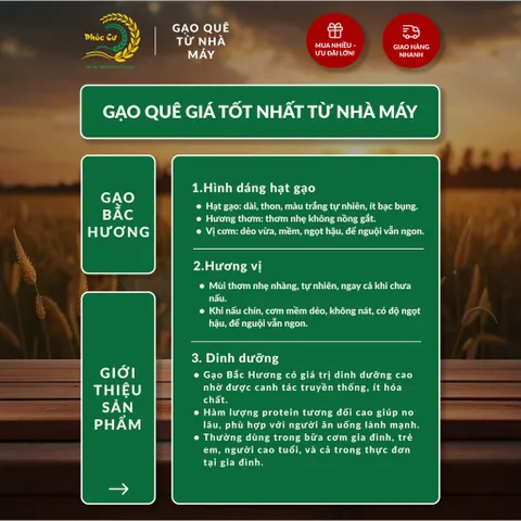 Gạo Phúc Cư | 40KG Gạo Bắc Hương Vụ Mới (LOẠI NGON) Hạt Dài Cơm Mềm Thơm Ngon