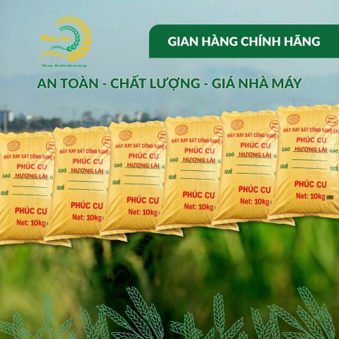 Gạo Phúc Cư | 60KG Gạo Quê Hương Lài Vụ Mới (LOẠI NGON) Hạt Dài Cơm Mềm Thơm Ngon