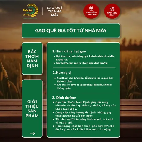 Gạo Phúc Cư | 40KG Gạo Bắc Thơm Nam Định (LOẠI NGON) Hạt Dài Cơm Mềm Thơm Ngon