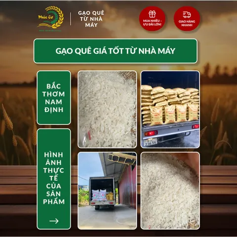 Gạo Phúc Cư | 5KG Gạo Bắc Thơm Nam Định (LOẠI NGON) Hạt Dài Cơm Mềm Thơm Ngon