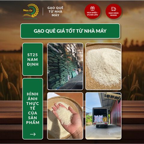 Gạo Phúc Cư | 50KG Gạo ST25 Nam Định Dẻo Vừa Cơm Mềm Thơm Ngon Giá Sỉ Nhà Máy