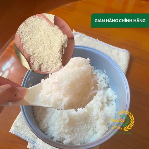 Gạo Phúc Cư | 10KG Gạo ST25 Nam Định Đậm Vị Cơm Mềm Thơm Ngon Giá Sỉ Nhà Máy
