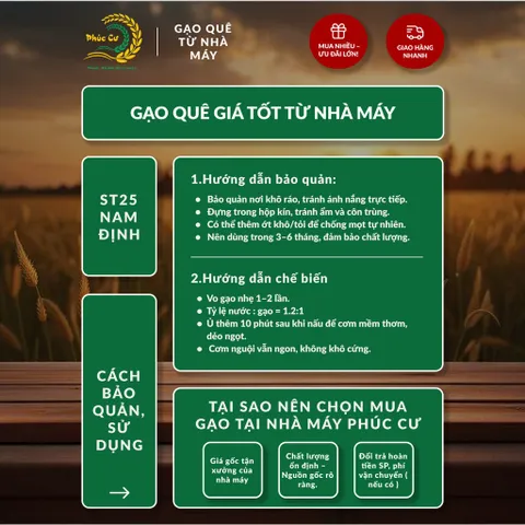 Gạo Phúc Cư | 50KG Gạo ST25 Nam Định Dẻo Vừa Cơm Mềm Thơm Ngon Giá Sỉ Nhà Máy