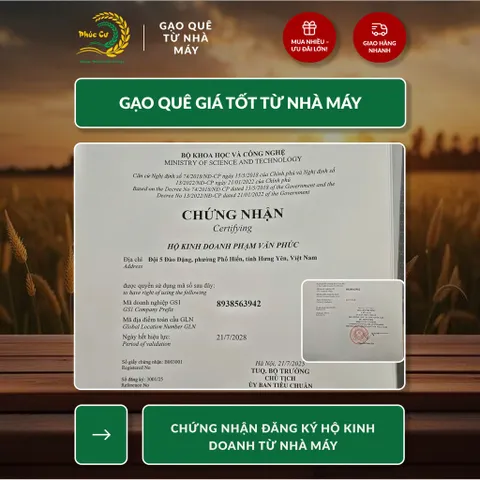 Gạo Phúc Cư | 50KG Gạo ST25 Nam Định Dẻo Vừa Cơm Mềm Thơm Ngon Giá Sỉ Nhà Máy