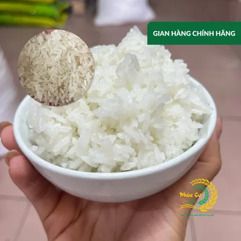 Gạo Phúc Cư | 20KG Gạo Lài Thơm Nam Định (LOẠI NGON) Hạt Dài Cơm Mềm Thơm Ngon