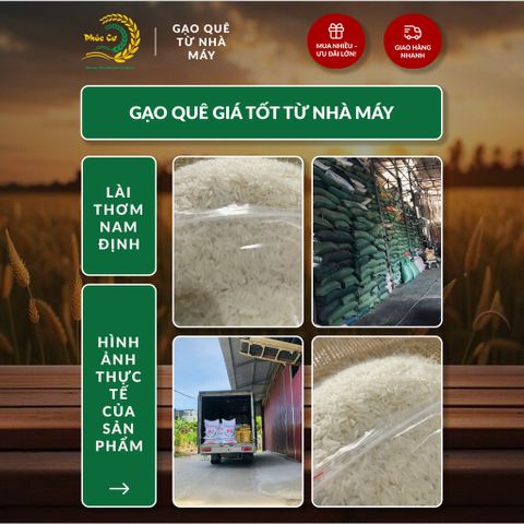 Gạo Phúc Cư | 20KG Gạo Lài Thơm Nam Định (LOẠI NGON) Hạt Dài Cơm Mềm Thơm Ngon