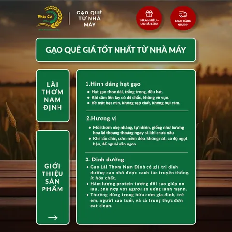 Gạo Phúc Cư | 5KG Gạo Lài Thơm Nam Định (LOẠI NGON) Hạt Dài Cơm Mềm Thơm Ngon