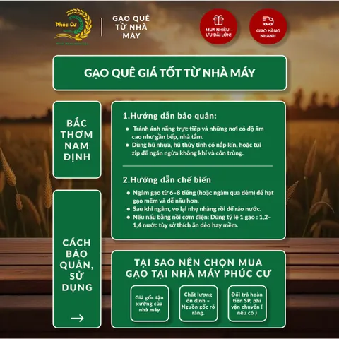 Gạo Phúc Cư | 10KG Gạo Bắc Thơm Nam Định (LOẠI NGON) Hạt Dài Cơm Mềm Thơm Ngon