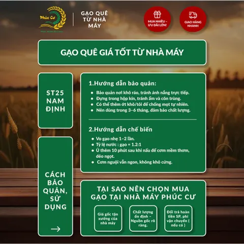 Gạo Phúc Cư | 30KG Gạo ST25 Nam Định Đậm Vị Cơm Mềm Thơm Ngon Giá Sỉ Nhà Máy