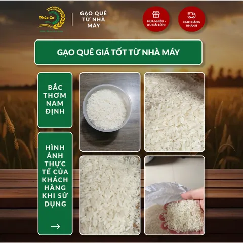 Gạo Phúc Cư | 20KG Gạo Bắc Thơm Nam Định (LOẠI NGON) Hạt Dài Cơm Mềm Thơm Ngon