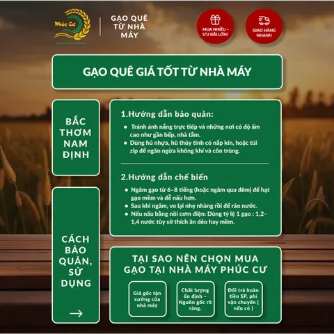 Gạo Phúc Cư | 20KG Gạo Bắc Thơm Nam Định (LOẠI NGON) Hạt Dài Cơm Mềm Thơm Ngon