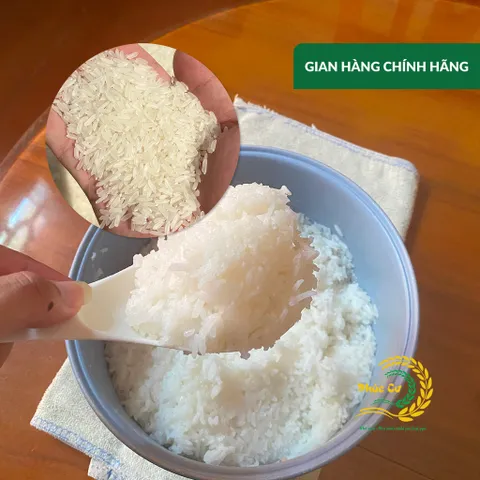 Gạo Phúc Cư | 60KG Gạo ST25 Nam Định Dẻo Vừa Cơm Mềm Thơm Ngon Giá Sỉ Nhà Máy